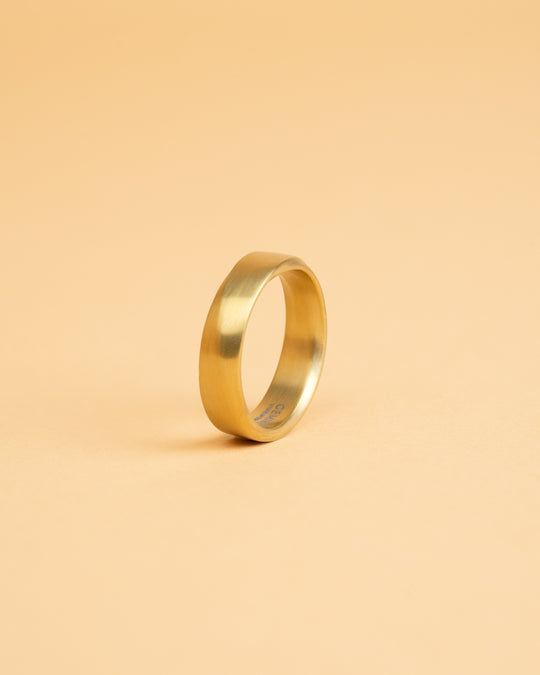 6mm Twisted full Gold-plated Titanium ring